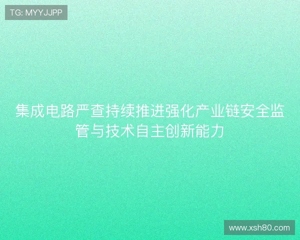 集成电路严查持续推进强化产业链安全监管与技术自主创新能力